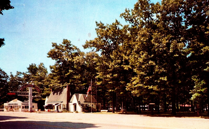 Edgewood Court Motel - Vintage Postcard